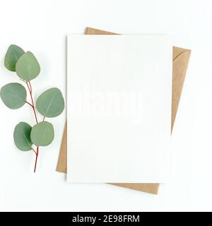 Mockup Einladung, leere Grußkarte und grüne Blätter Eukalyptus. Flach liegend, Draufsicht. Stockfoto
