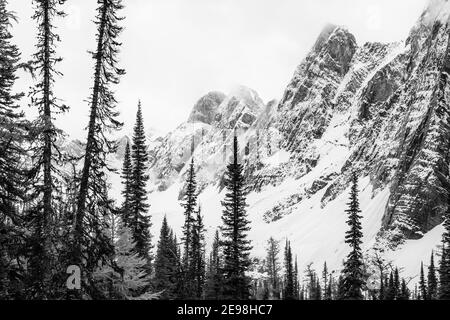 Die Rockwall über dem Floe Lake im Kootenay National Park in den kanadischen Rockies, British Columbia, Kanada Stockfoto