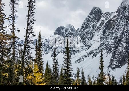 Die Rockwall über dem Floe Lake im Kootenay National Park in den kanadischen Rockies, British Columbia, Kanada Stockfoto