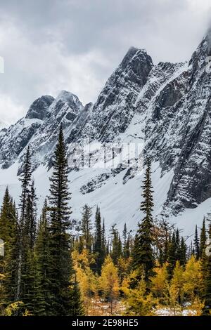 Die Rockwall über dem Floe Lake im Kootenay National Park in den kanadischen Rockies, British Columbia, Kanada Stockfoto