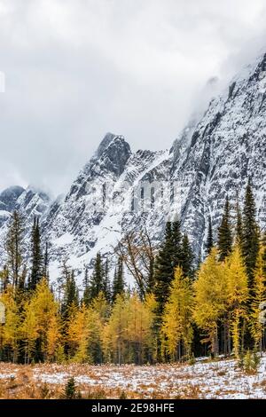 Die Rockwall über dem Floe Lake im Kootenay National Park in den kanadischen Rockies, British Columbia, Kanada Stockfoto