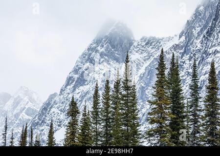 Die Rockwall über dem Floe Lake im Kootenay National Park in den kanadischen Rockies, British Columbia, Kanada Stockfoto