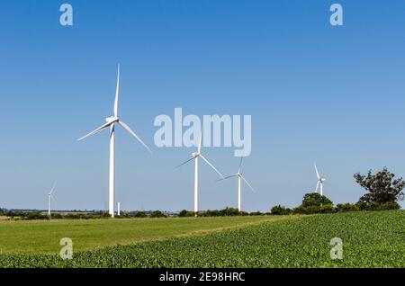 Reihe von drei modernen Windmühlen auf dem Land in der Nähe von Tarariras, Colonia. Viele andere Windmühlen können auf dem Hintergrund mit einigen Bäumen auf der r gesehen werden Stockfoto