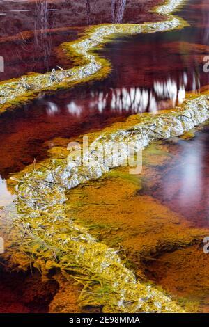 Steine in roten Gewässern durch Stromatolithen verbunden, Rio Tinto Fluss, Andalusien Spanien. Abstraktes Muster. Abstrakte Textur - abstrakter Hintergrund - abstrakt Stockfoto