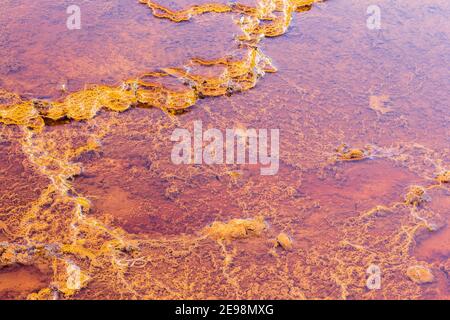 Stromatolithen, Rio Tinto Fluss, Andalusien Spanien. Abstraktes Muster. Abstrakte Textur - abstrakter Hintergrund - abstraktes Design. Stockfoto