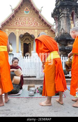 Luang Prabang, Laos Tak bat oder die Morgenalmosenprozession des Mönchs – Frauen, die Reis in die Almosenschüsseln von Mönchen und Novizenmönchen legen. Stockfoto