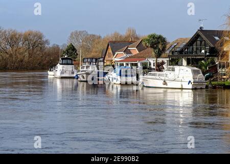 Private Häuser am Flussufer auf der Themse Meadow mit Blick vom Walton Seite des Flusses Shepperton England Großbritannien Stockfoto