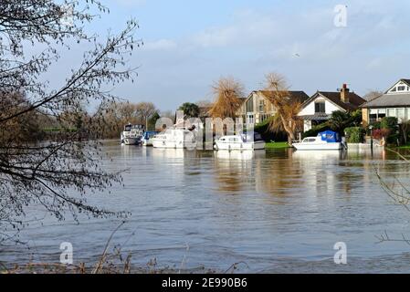 Private Häuser am Flussufer auf der Themse Meadow mit Blick vom Walton Seite des Flusses Shepperton England Großbritannien Stockfoto