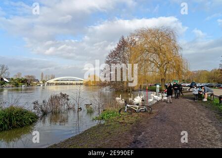 Das Flussufer in Walton an der Themse mit Wildvögeln am Ufer mit Straßenbrücke im Hintergrund an einem Wintertag, Surrey England UK Stockfoto