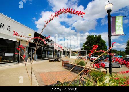 Blick durch eine rote Yucca-Pflanze den Bürgersteig entlang des 16th Street Plaza Distrikts in Oklahoma City hinunter. Stockfoto