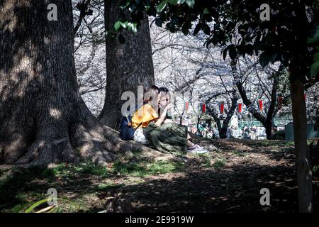 Diese Fotoserie möchte die verschiedenen Szenarien in Japan während eines zweiwöchigen Urlaubs durch die größte Insel Honshu hervorheben. Stockfoto