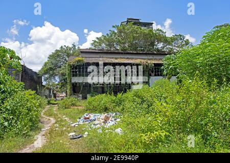 Reste der alten Fabrik in Mariënburg, ehemalige Zuckerrohrplantage und Dorf im Commewijne Distrikt im Norden von Surinam Stockfoto