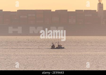 Southend on Sea, Essex, Großbritannien. Februar 2021, 3rd. HMM Le Havre wird gesehen, wie er am späten Nachmittag an der Themse-Mündung durch Southend on Sea an einem Fischerboot vorbeifährt, nachdem er DP World London Gateway Port verlassen hat. Das Containerschiff der Algeciras-Klasse ist eines der größten jemals gebauten Schiffe, das im August 2020 in Dienst gestellt wurde und fast 24000 Container befördern kann. Es bedient die Route Fernost-Europa 3. Das Vereinigte Königreich bewirbt sich um den Beitritt zum umfassenden und progressiven Abkommen über die Transpazifische Partnerschaft (CPTPP), zu dem auch fernöstliche Länder gehören, die von riesigen Schiffen wie diesem bedient werden Stockfoto