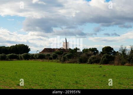 Brafim ländliche Landschaft, Hunde, Blumen und ländliche Aussicht Stockfoto