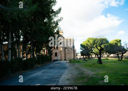 Brafim ländliche Landschaft, Hunde, Blumen und ländliche Aussicht Stockfoto