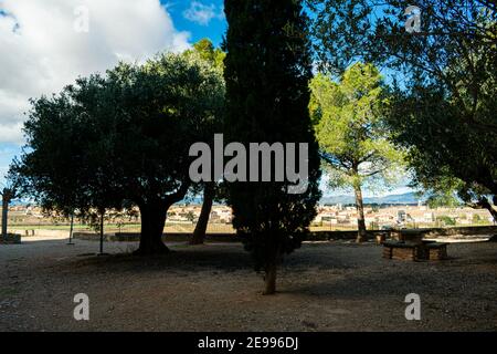 Brafim ländliche Landschaft, Hunde, Blumen und ländliche Aussicht Stockfoto