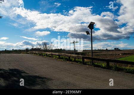Brafim ländliche Landschaft, Hunde, Blumen und ländliche Aussicht Stockfoto