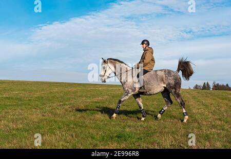 Junge Frau reitet bareback auf Vollblut tschechischen Warmblutpferd in Die Felder Stockfoto