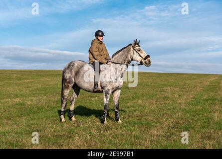 Junge Frau reitet bareback auf Vollblut tschechischen Warmblutpferd in Die Felder Stockfoto