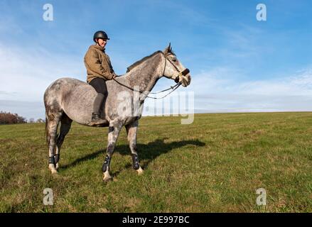 Junge Frau reitet bareback auf Vollblut tschechischen Warmblutpferd in Die Felder Stockfoto