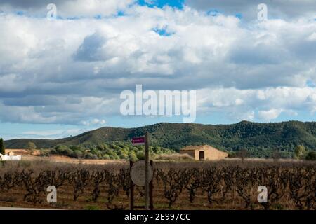 Brafim ländliche Landschaft, Hunde, Blumen und ländliche Aussicht Stockfoto
