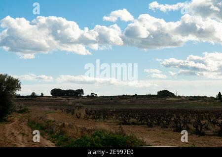 Brafim ländliche Landschaft, Hunde, Blumen und ländliche Aussicht Stockfoto