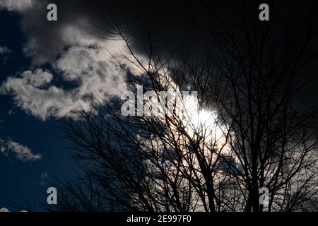 Brafim ländliche Landschaft, Hunde, Blumen und ländliche Aussicht Stockfoto