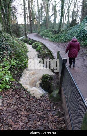 Schnelle Strömungsverbrennung (Stream) im Glen, North Berwick - nach starkem Regen Stockfoto