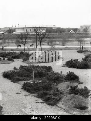 Frühe 20th Jahrhundert Fotografie - Legation Quarter Peking Peking c,1905 - eine von einer Reihe von Bildern aus einem seltenen Archiv, alle auf Alamy aufgeführt, depcting das Legation Quarter in den Jahren nach dem Boxer Aufstand. Das Gebiet liegt um Dong Jiao Min Xiang im Bezirk Dongcheng, östlich des Tienanming Platzes. Stockfoto