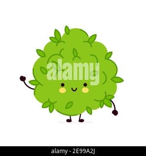 Nette lustige Marihuana Unkraut Knospe Charakter. Vektor flache Linie Cartoon kawaii Figur Illustration Symbol. Isoliert auf weißem Hintergrund. Unkraut Gesicht Charakter Maskottchen Konzept Stock Vektor