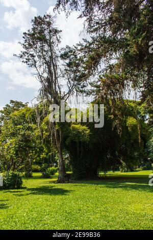 Hinterhof in Ost-Cordillera (Cordillera Oriental), Kolumbien. Stockfoto