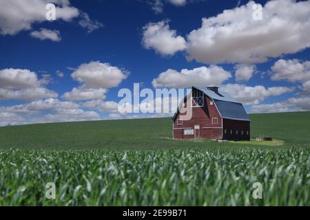 Red Barn in den Feldern des Palouse Country Washington State Stockfoto