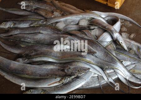 Ribbon Fisch Verkauf in asiatischen Fischmarkt Hairtail Fisch Verkauf In indien Hund Fisch fangen und verkaufen in asiatischen super Markt Stockfoto