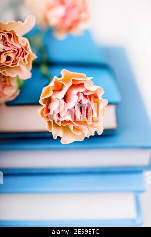 Schöne Knospen von hellen orange Nelke Blumen auf Stapel Blaue Bücher Stockfoto