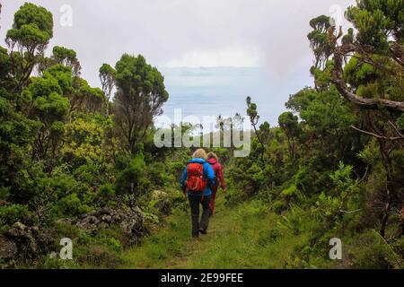 Wandergruppe, grüne Landschaften erkunden, Azoren, Insel Pico. Stockfoto