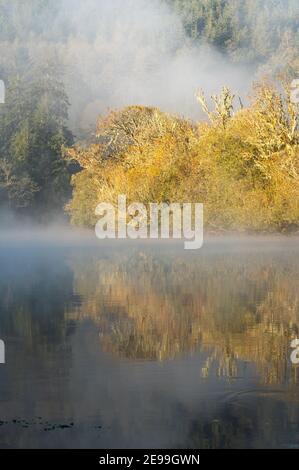 Nebel schwebte über dem Fluss am frühen Morgen bei Sonnenaufgang Stockfoto