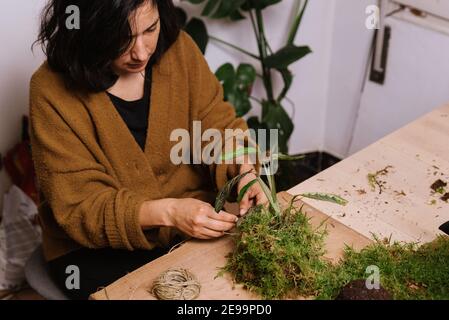 Frau, die kokedama, diy japanische Dekoration mit Pflanzen und Moos, während zu Hause während covid Einschränkungen Lockdown Stockfoto