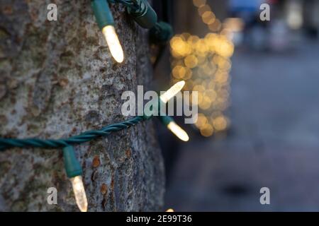 Nahaufnahme von Lichtern, die um eine starke Baumbasis und Äste gewickelt sind; aufgenommen im Winter in der Nähe der Weihnachtsfeiertage. Stockfoto
