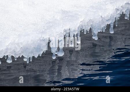 Eiszapfen, die sich aus dem Schmelzen und Wiedergefrieren auf dem Eisberg in Duse Bay, Weddellmeer, Antarktis bilden. Stockfoto