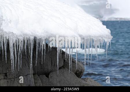 Eiszapfen bilden sich aus dem Schmelzen und Wiedererfrieren auf dem Eisberg im Hafen von Mikkelsen, Antarktis. Stockfoto