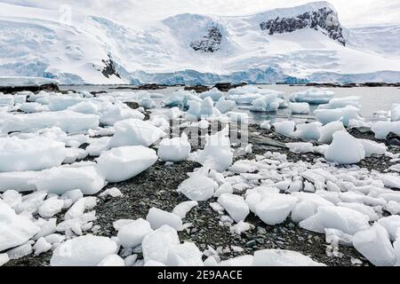 Brash Eis gestrandet am Strand bei Ebbe in Mikkelsen Hafen, Trinity Island, Antarktis. Stockfoto