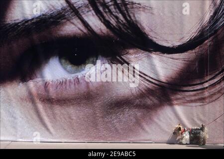 Atmosphärenbild entlang der Croisette während der Filmfestspiele 59th in Cannes, Frankreich am 20. Mai 2006. Foto von Axelle de Russe/ ABACAPRESS.COM Stockfoto