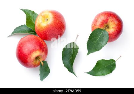 Frische rote Äpfel mit grünen Blättern isoliert auf weißem Hintergrund. Gala-Apfel. Blick von oben Stockfoto