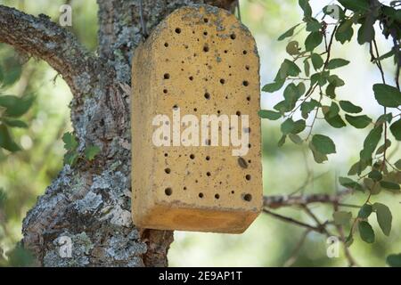 Betonwanzenhaus. Ein Betoninsektenhotel, das an einem Baum hängt Stockfoto