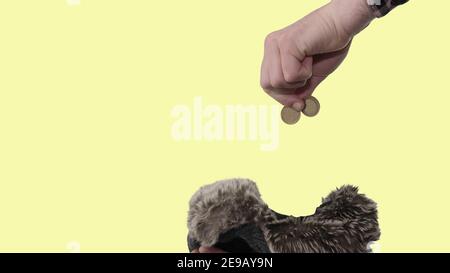 Wirf einen Pfennig in deinen Hut, hilf einer Person mit Geld, finanzierte, eine Obdachlose bittet um Geld. Stockfoto