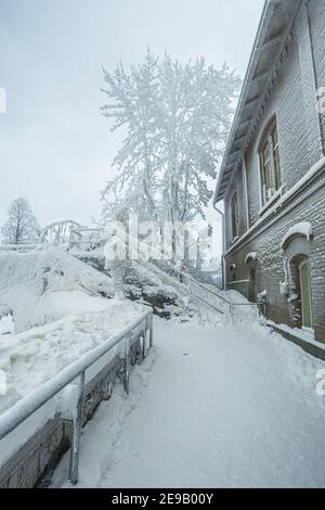 Die Äste eines mit Eis bedeckten Baumes und das alte Gebäude sind mit Schnee bedeckt. Helsinki, Finnland Vanhakaupunki. Hochwertige Fotos Stockfoto