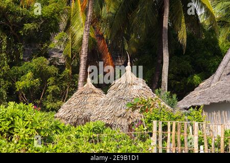 Strohdach der tropischen Hütte unter Palmen. Detail der Hütten im Paradise Resort. Sansibar exotische Landschaft. Exotische Ferien. Stockfoto