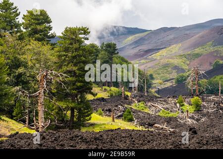 Blick auf Vulkankrater des Ätna in den Wolken bei Piano Provenzana. Sizilien, Italien Stockfoto