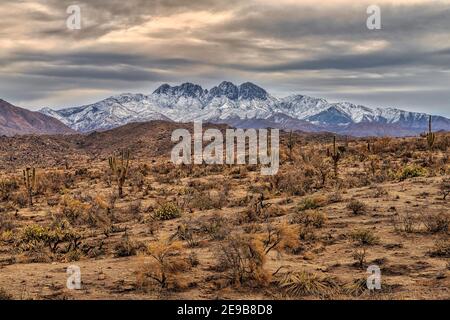 Winteransicht der Bush Fire Brandnarbe und Four Peaks Wilderness im Tonto National Forest etwa 45 Meilen nordnordöstlich von Phoenix, Arizo Stockfoto