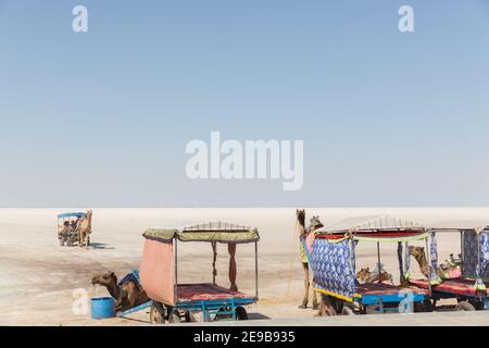 Besucher reiten Kamelkarts in Great Rann of Kutch Salt Marsh Stockfoto